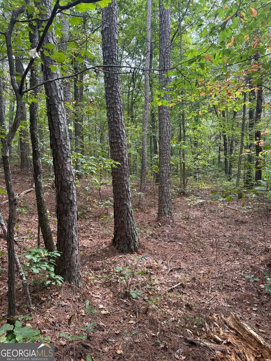 3834 Salacoa-tract B, Waleska, GA 30183 - #3