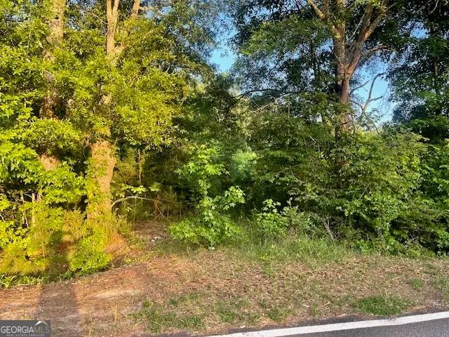 0 Mccrary Road - Tract 3, Molena, GA 30258 - #2