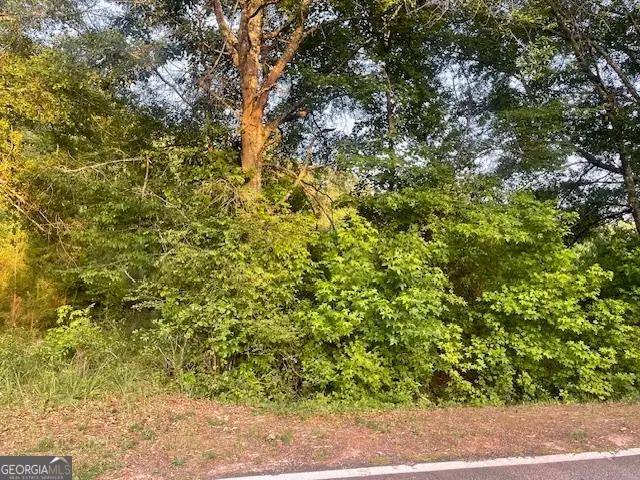0 Mccrary Road - Tract 3, Molena, GA 30258 - #3