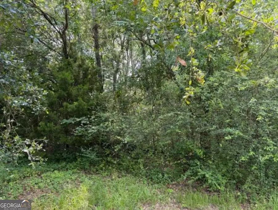 0 Milton Avenue, Savannah, GA 31405 - #3