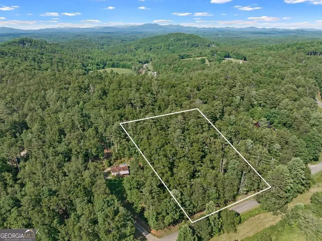 2 AC Ritchie Creek Road, Blue Ridge, GA 30513 - #1