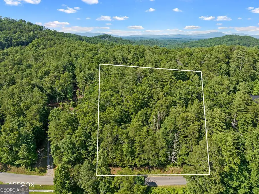 2 AC Ritchie Creek Road, Blue Ridge, GA 30513 - #2
