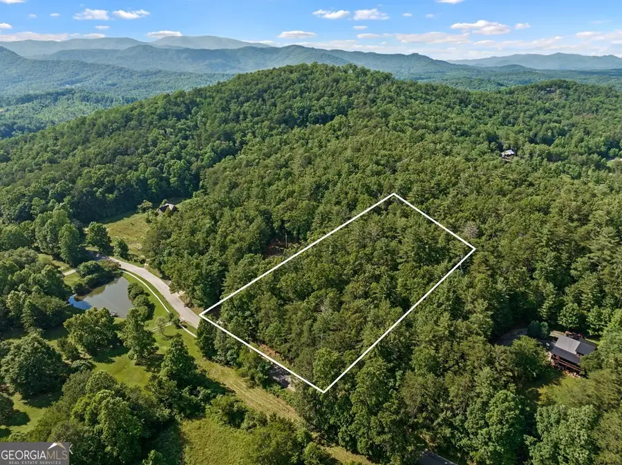 2 AC Ritchie Creek Road, Blue Ridge, GA 30513 - #3