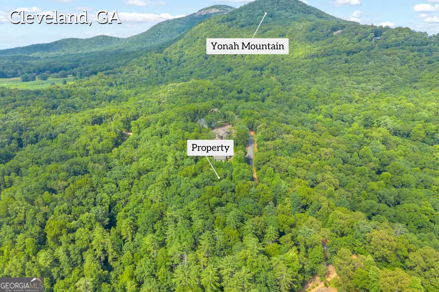 25 Forked Leaf Rd, Cleveland, GA 30528 - #3