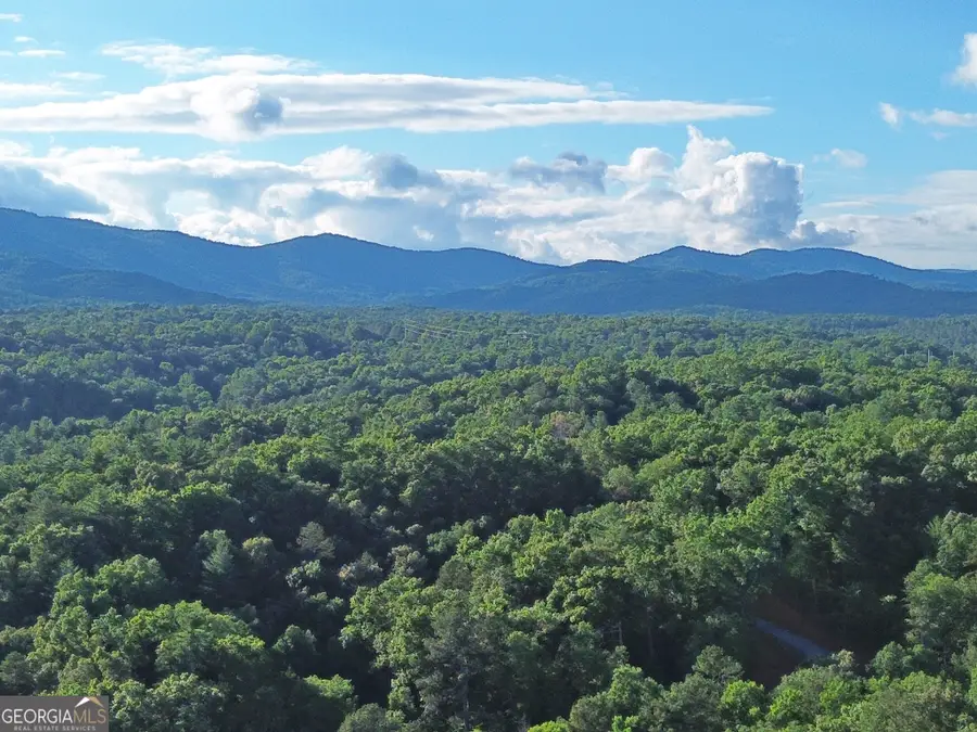 LOT 18 Mt. Springer Road, Ellijay, GA 30540 - #2
