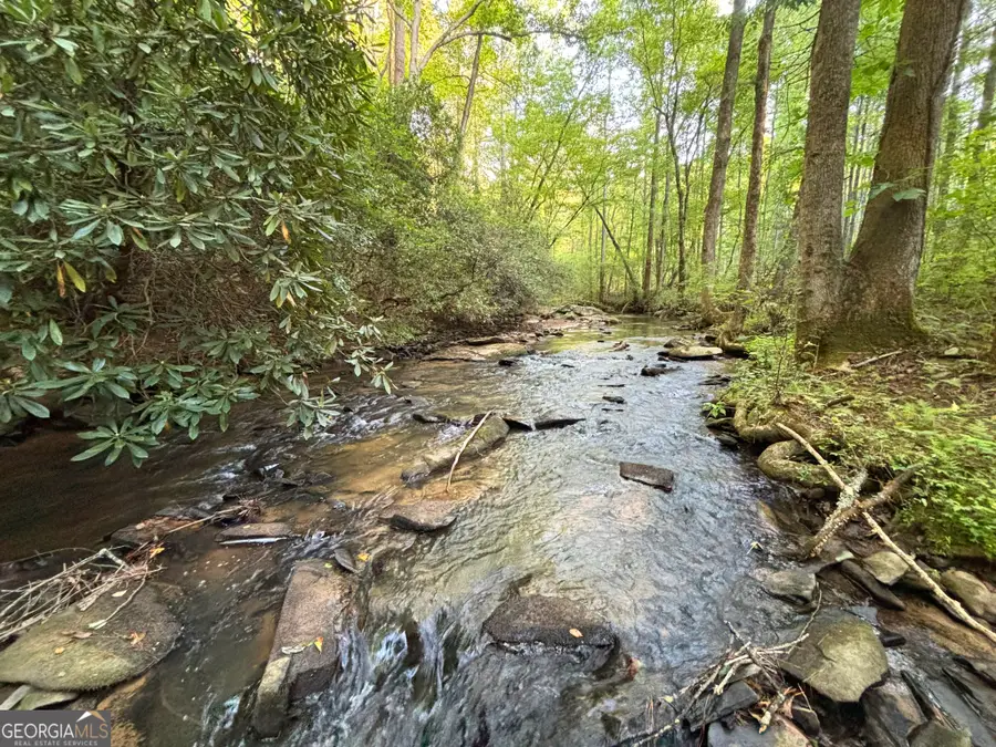 LOT 18 Mt. Springer Road, Ellijay, GA 30540 - #3
