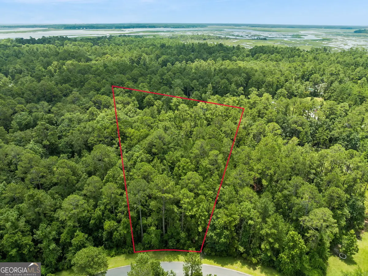 V/L 185 Sunrise Drive, Woodbine, GA 31569 - #1