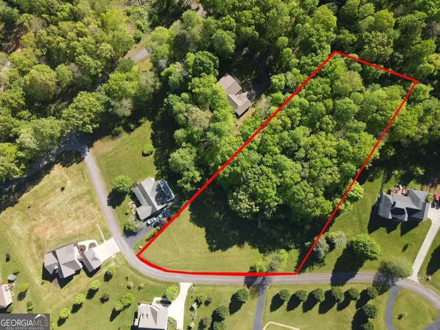 LOT 36 The Smithfields, Young Harris, GA 30582 - #2