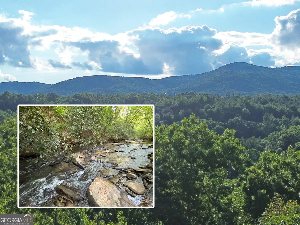 LOT 19 Mt. Springer Road, Ellijay, GA 30540 - #1
