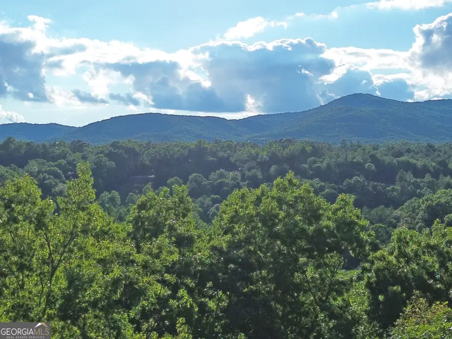 LOT 19 Mt. Springer Road, Ellijay, GA 30540 - #2