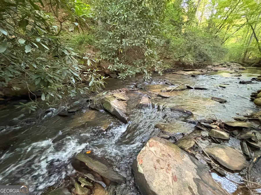 LOT 19 Mt. Springer Road, Ellijay, GA 30540 - #3