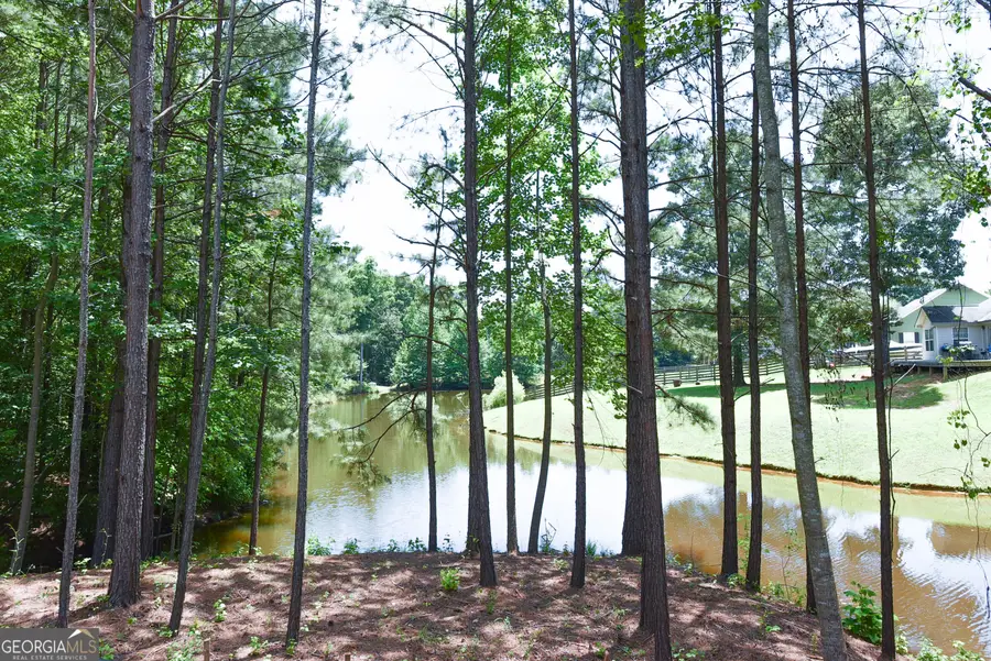 110 Fuller Court, Grantville, GA 30220 - #3
