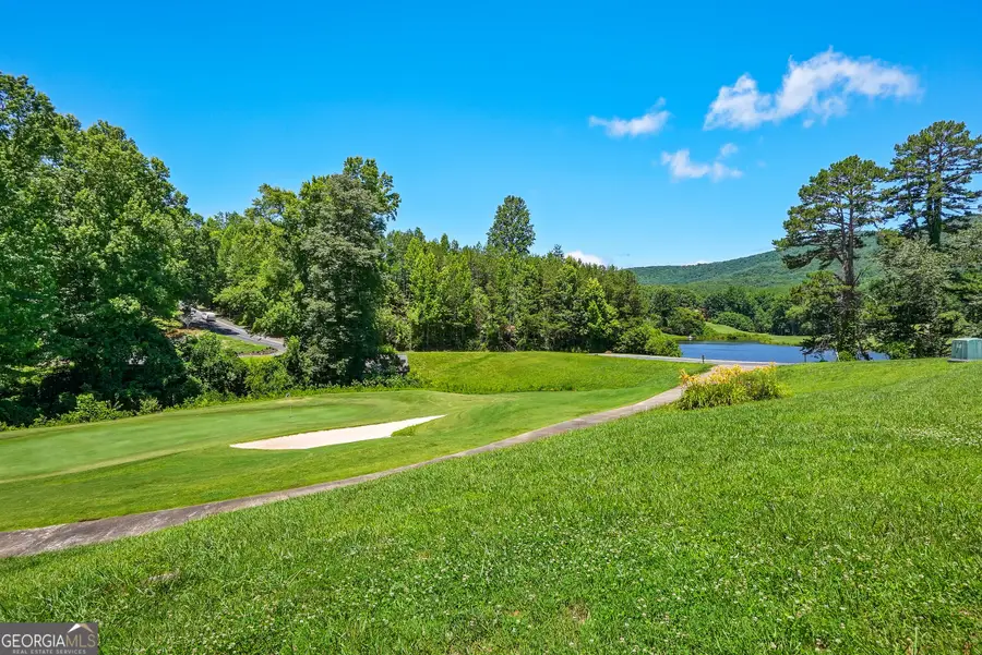 501 Granny Smith Circle, Clarkesville, GA 30523 - #3