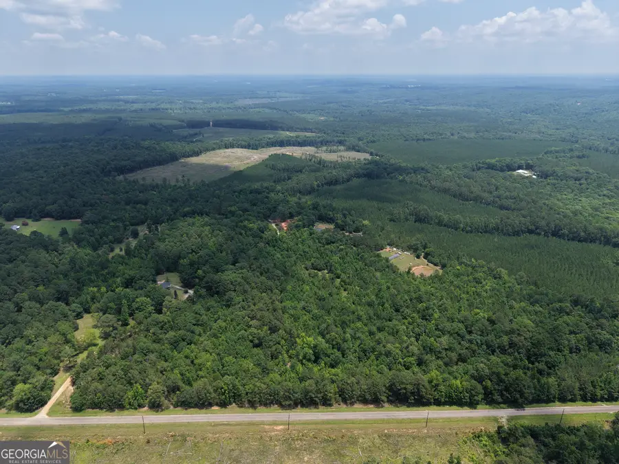 1030 Flat Rock Road, Tignall, GA 30668 - #3
