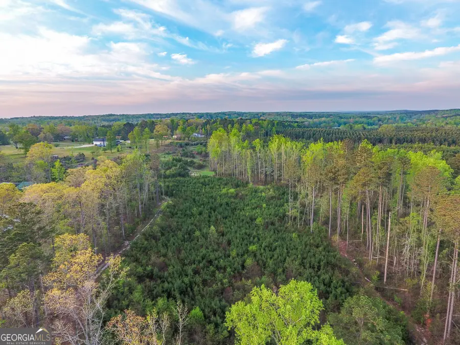0 Bremen Mt Zion Road, Waco, GA 30182 - #2