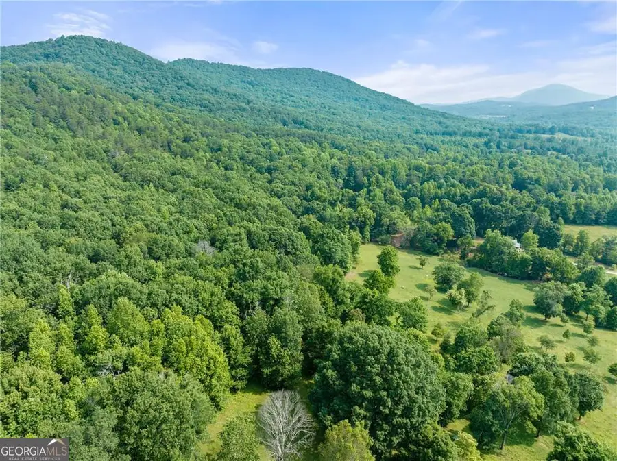 00 Freeman View Trail #LOT 4, Cleveland, GA 30528 - #2