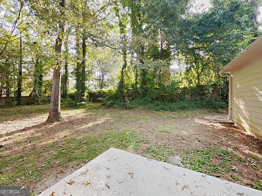 4423 Turnberry Court, Douglasville, GA 30135 - #3