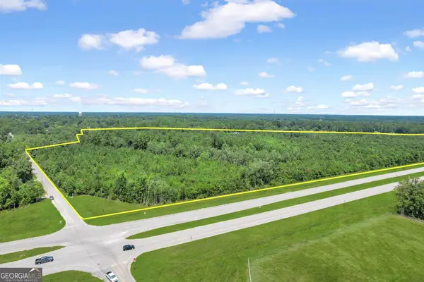 0 Hwy 301 - N Palm Street, Jesup, GA 31546