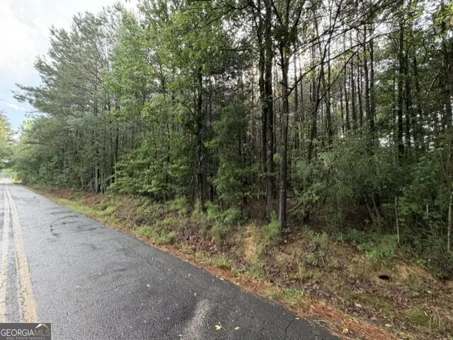 ERVIN COKER RD. Ervin Coker Road, Rome, GA 30161 - #2