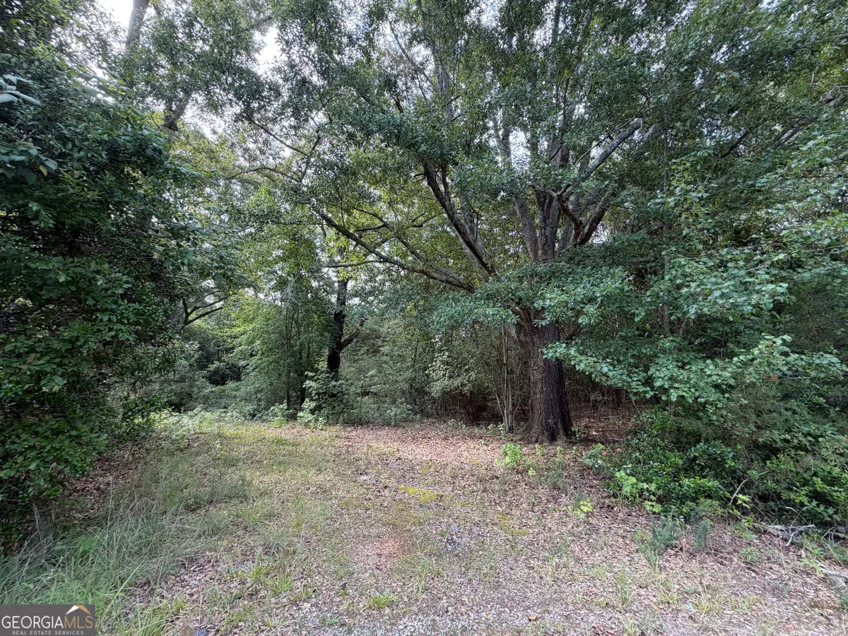 1081 Cleveland Avenue, Buckhead, GA 30625 - #1