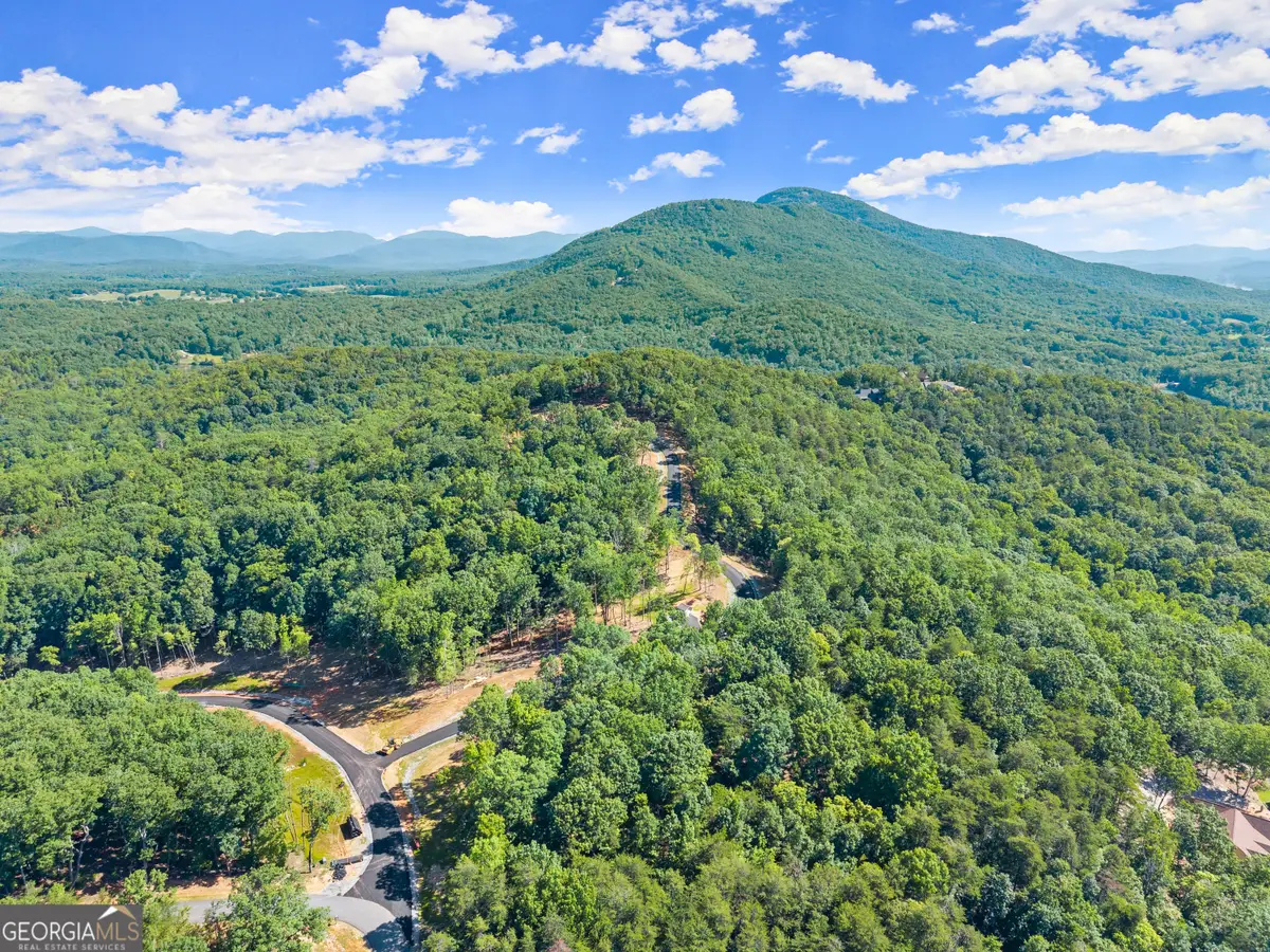 58 Chimney Oaks Trail, Cleveland, GA 30528 - #1