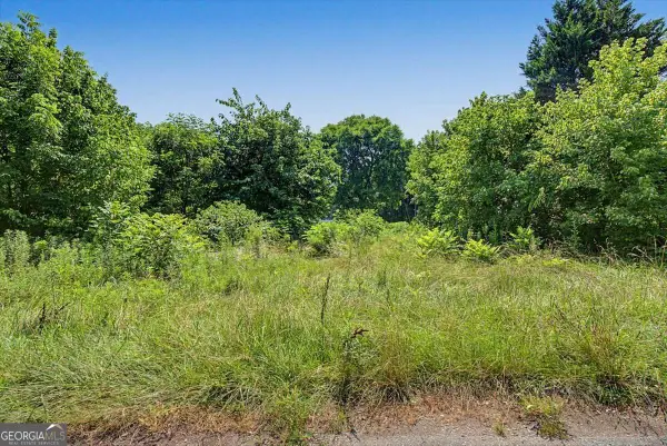 57 Martin Luther King Jr Circle, Kingston, GA 30145