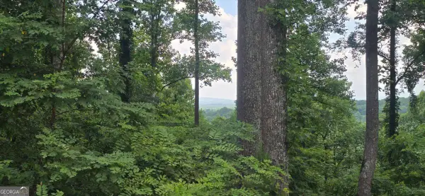 001 Windning Ridge, Blairsville, GA 30514
