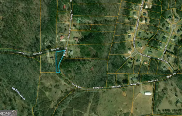 0 Beaty Circle, FLOVILLA, GA 30216