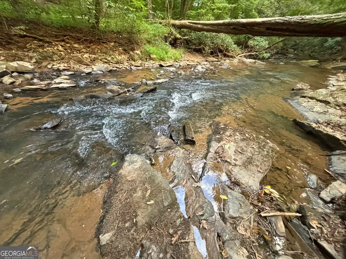396 Mt Springer Road, Ellijay, GA 30540 - #1