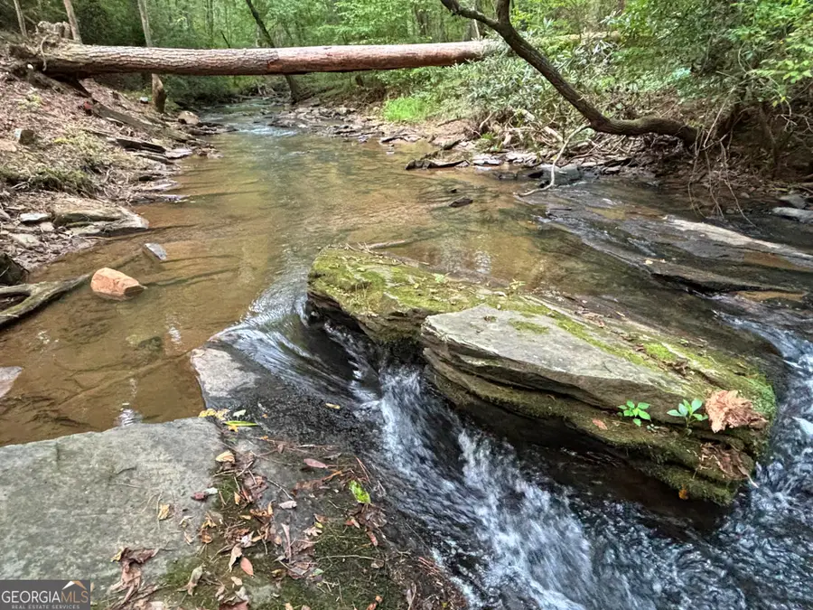 396 Mt Springer Road, Ellijay, GA 30540 - #2