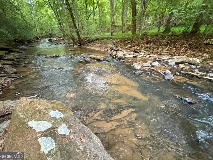 396 Mt Springer Road, Ellijay, GA 30540 - #3