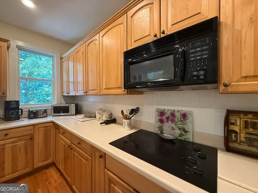 436 Panorama Drive, Lavonia, GA 30553 - #3