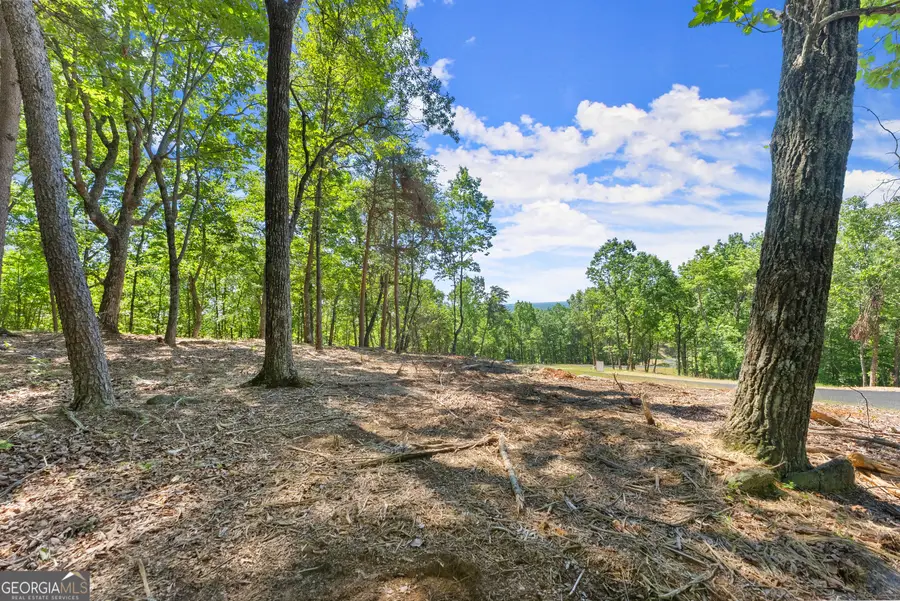 210 Chimney Oaks Trail, Cleveland, GA 30528 - #3