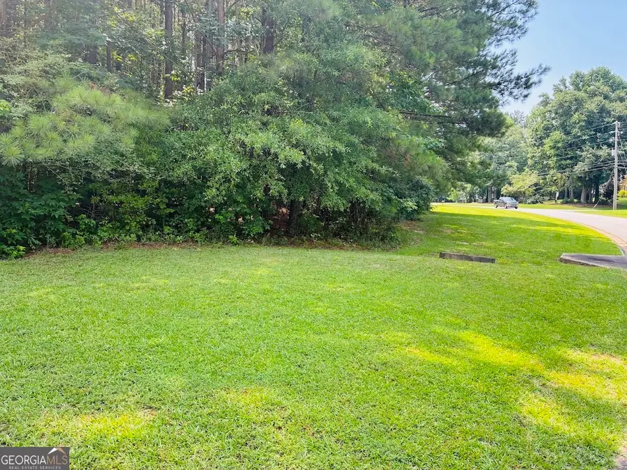 0 Mapledale Trail #LOT 51/52, Sharpsburg, GA 30277 - #2