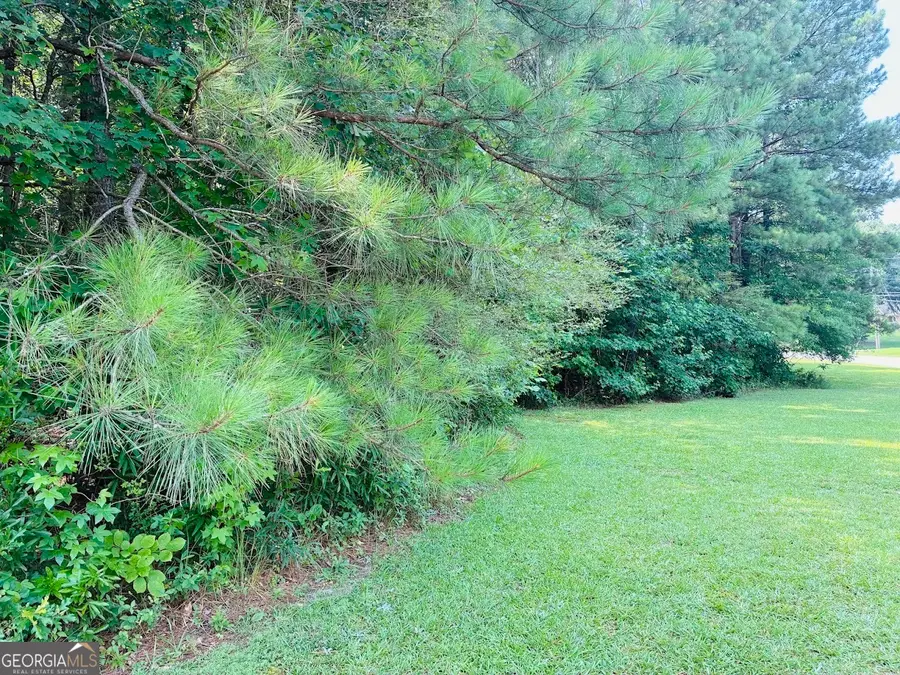 0 Mapledale Trail #LOT 51/52, Sharpsburg, GA 30277 - #3