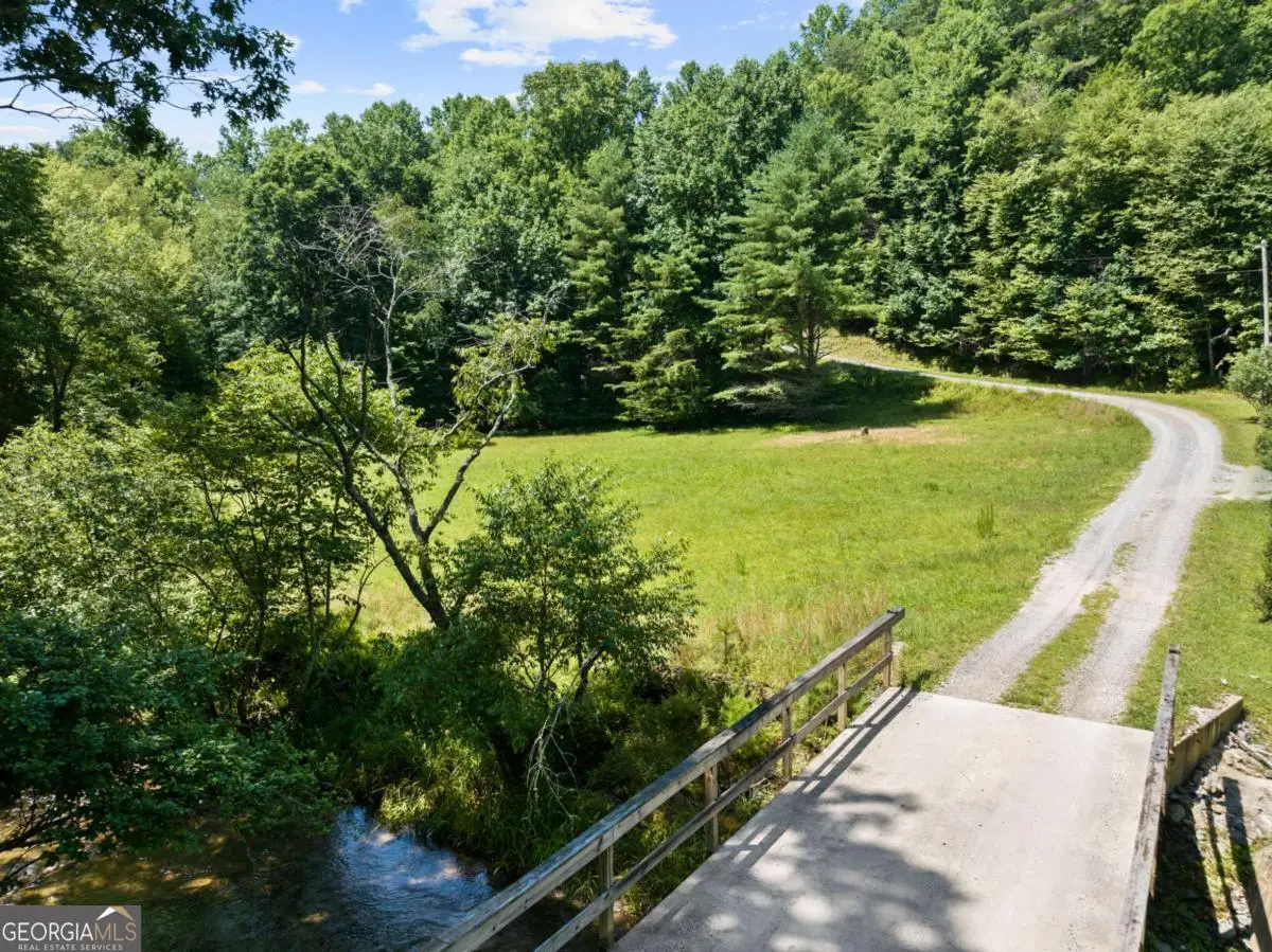 LOT 8 Tipton Court, Cherry Log, GA 30522 - #1