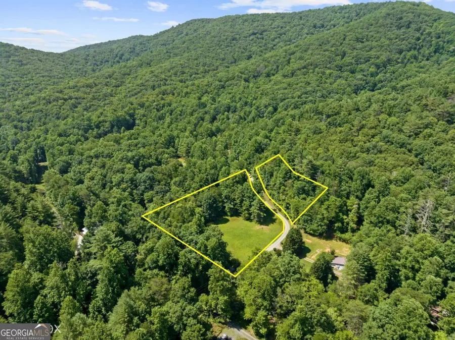 LOT 8 Tipton Court, Cherry Log, GA 30522 - #2