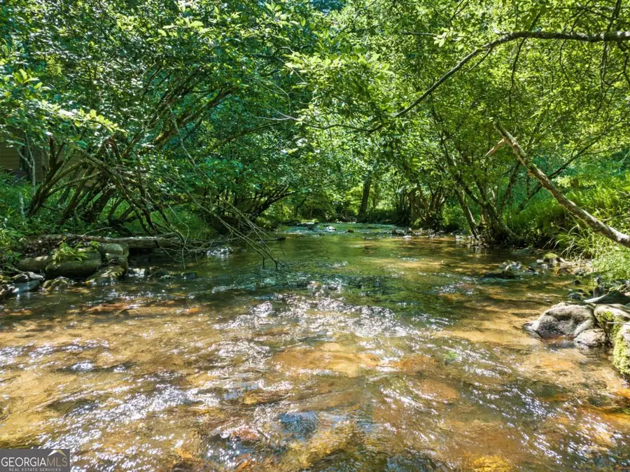 LOT 8 Tipton Court, Cherry Log, GA 30522 - #3