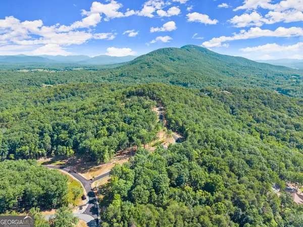 165 Chimney Oaks Trail, Cleveland, GA 30528