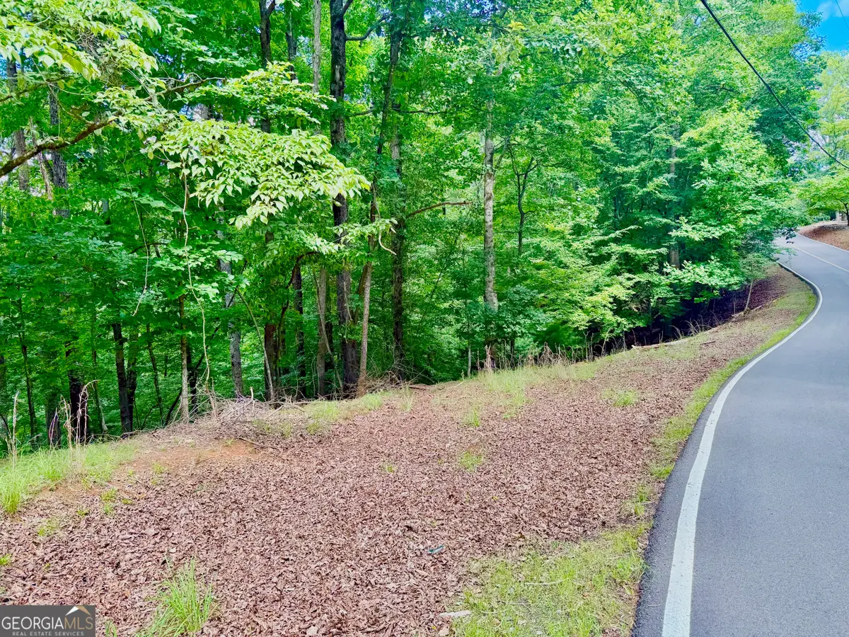 2246 Palisade Drive, Ellijay, GA 30540 - #1