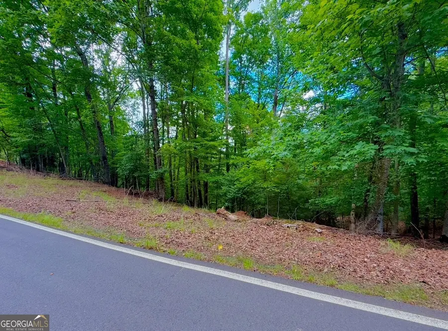 2246 Palisade Drive, Ellijay, GA 30540 - #2