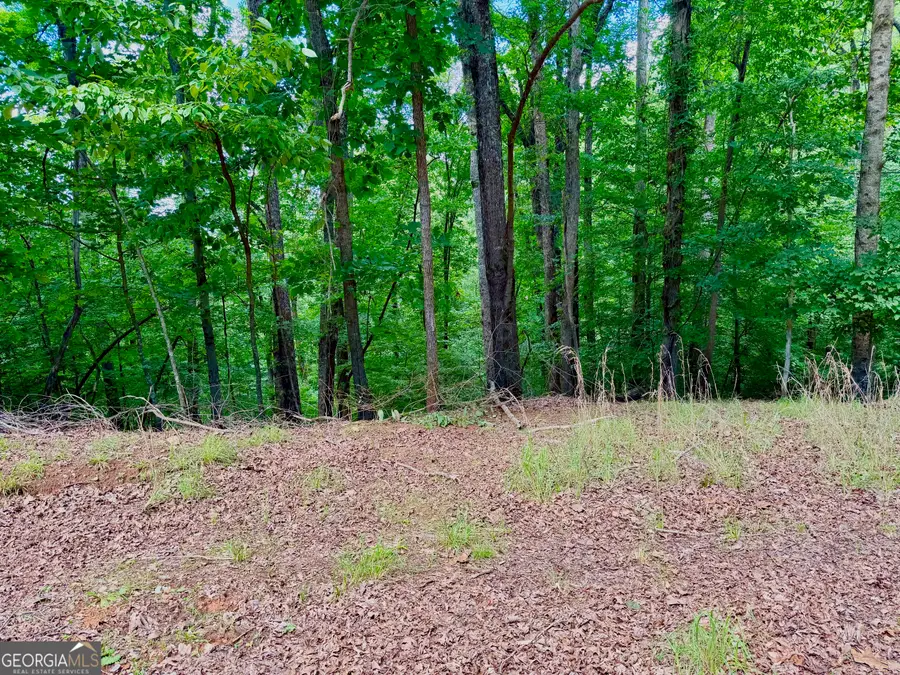 2246 Palisade Drive, Ellijay, GA 30540 - #3