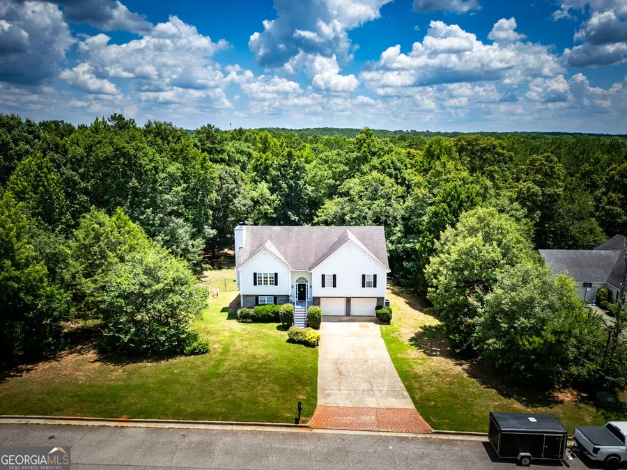 314 Black Willow Court, Locust Grove, GA 30248 - #3