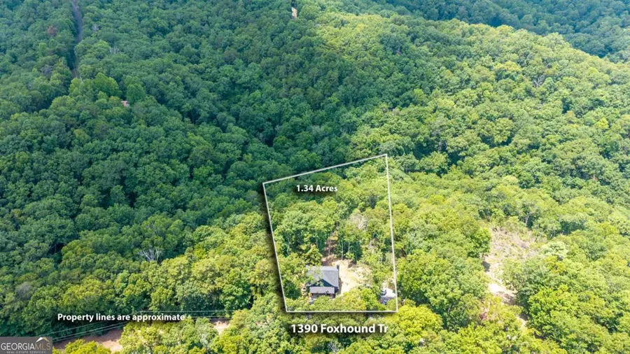 1390 Foxhound Trail Ne, Ranger, GA 30734 - #2