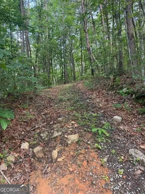 10.96 AC Paramount Trail, Ellijay, GA 30536 - #1