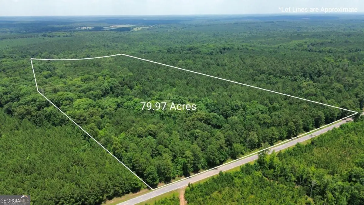 000 Springfield / Turner Road, Union Point, GA 30669 - #1