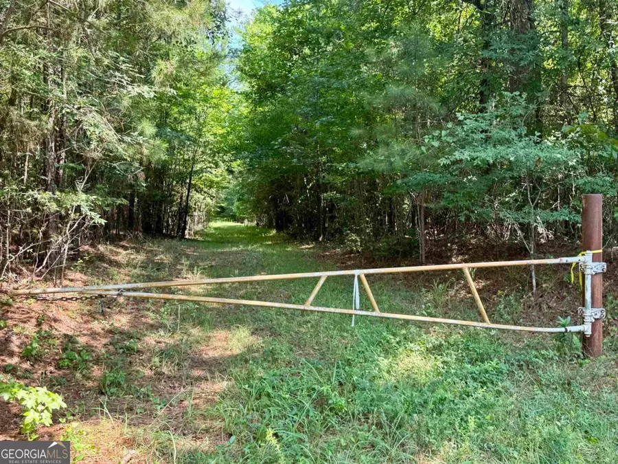 000 Springfield / Turner Road, Union Point, GA 30669 - #3