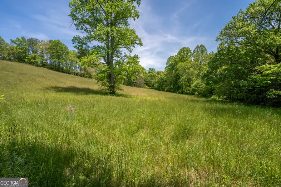LOT 1-1A Jonica Gap Road, Mineral Bluff, GA 30559 - #3
