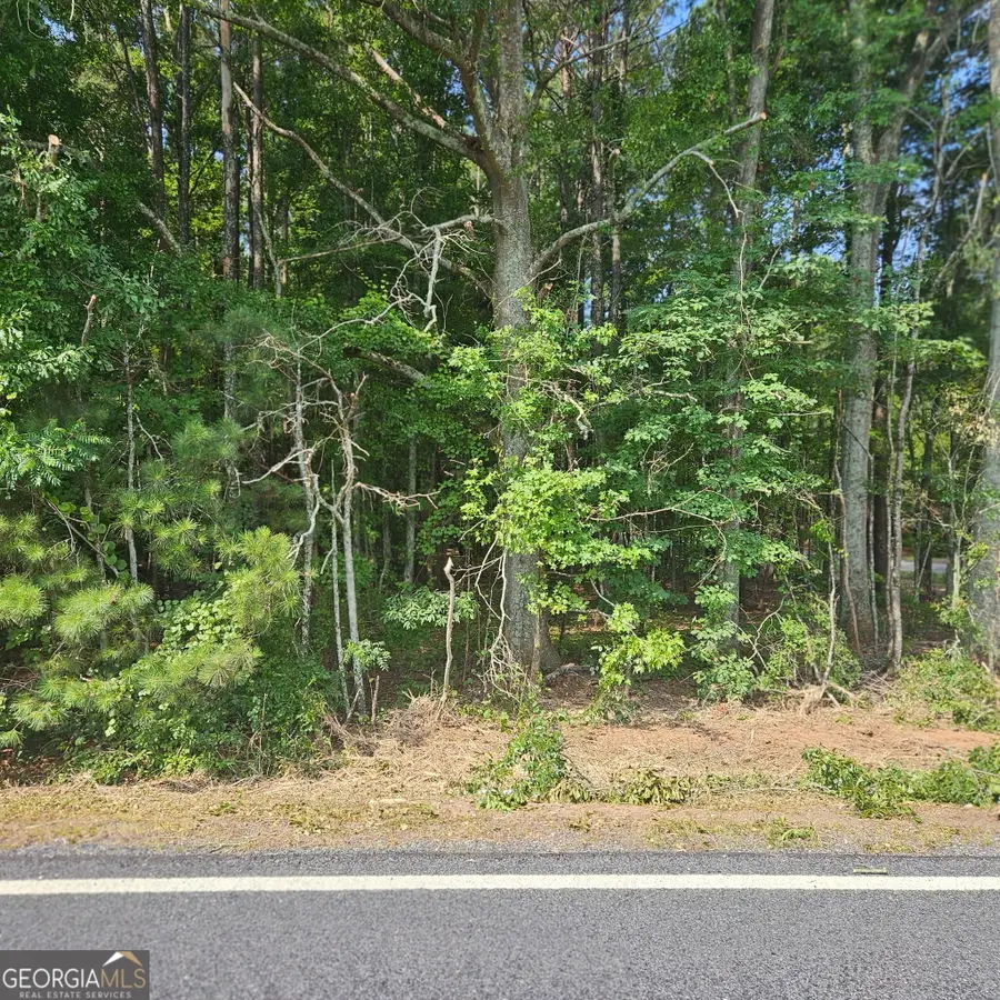 0 Academy Lane, Rutledge, GA 30663 - #3