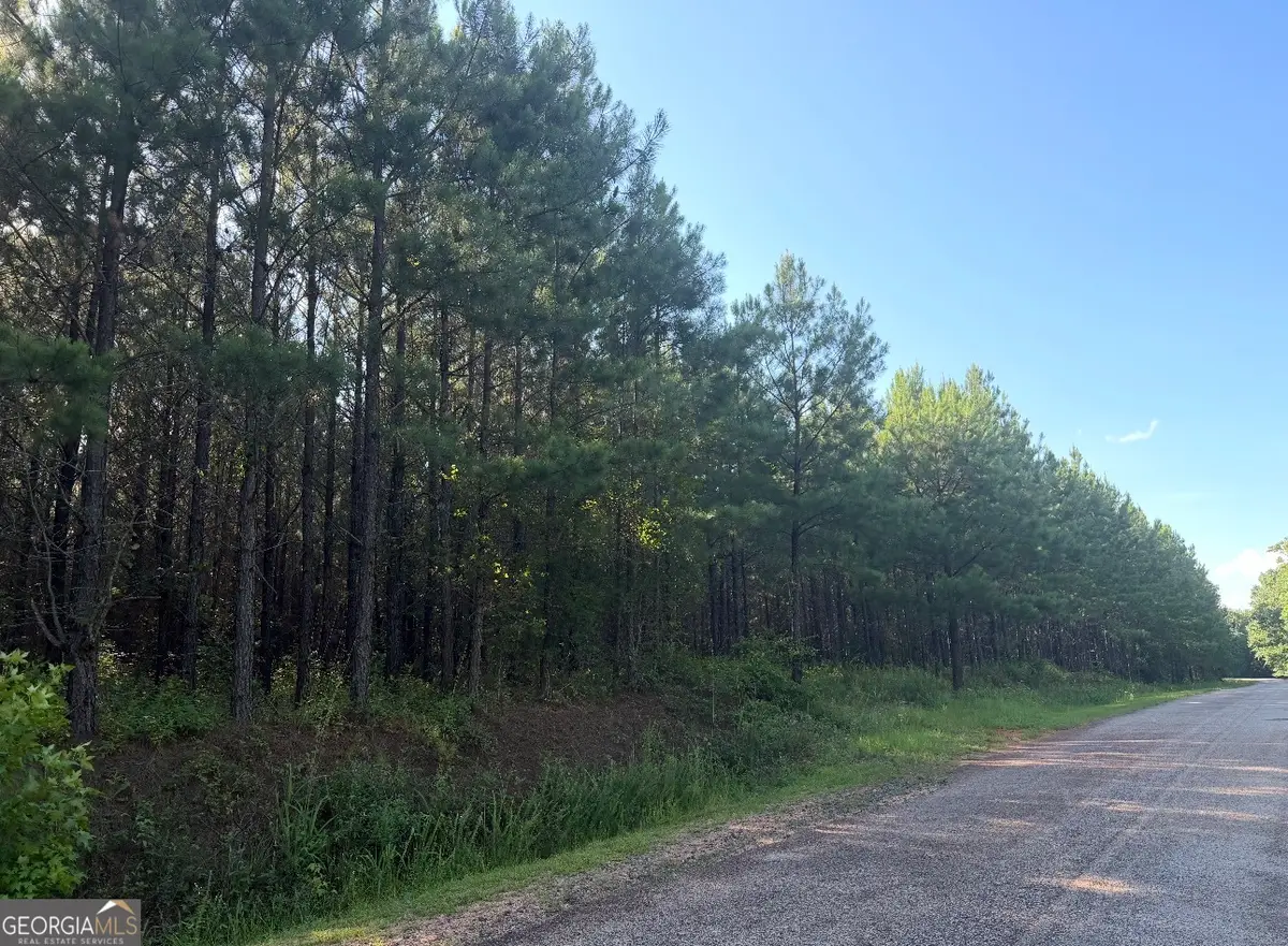 78 Aubrey Mays Road, Forsyth, GA 31029 - #1